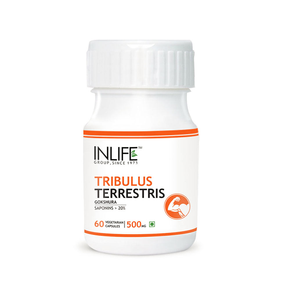 Tribit Stylist Wireless Bluetooth Headphone