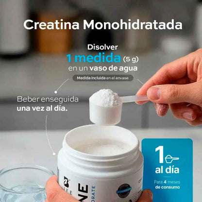 Creatine Monohydrate Polvo B Life®