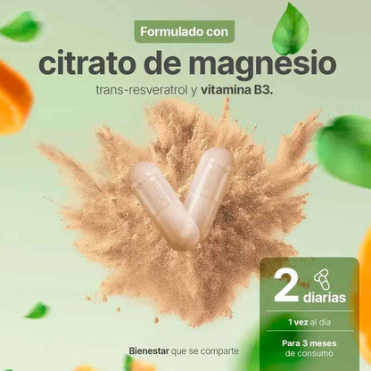 N.M.N Blend B Life®